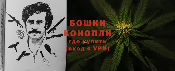 гидра Армянск